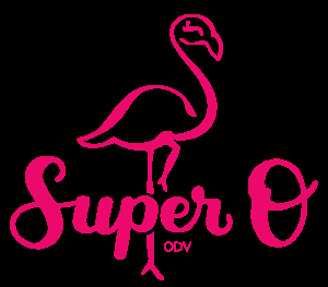 SuperO Playground Interaction