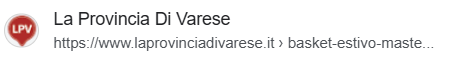 VareseNews Logo